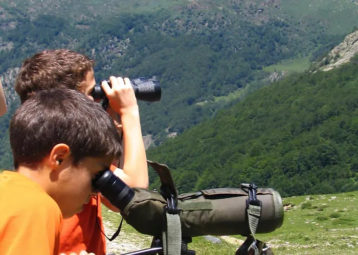 Hébergement de vacances Et D'orlu *